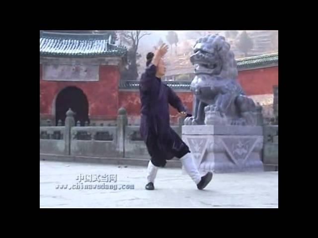 Wudang Qigong  (武当山氣功)