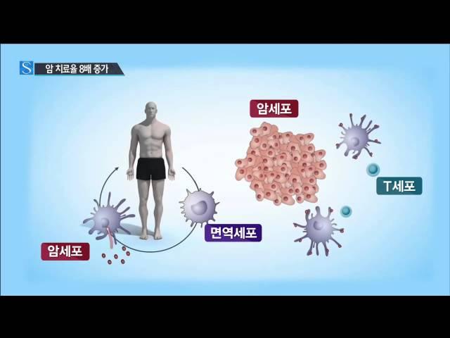 면역력 높이는 신기술 개발...암 치료율 8배 증가 / YTN 사이언스