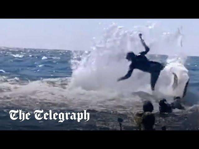 Humpback whale throws snorkeller into the air