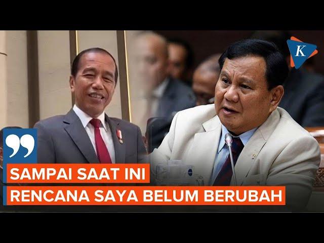 Jawaban Jokowi soal Disinggung Masuk DPA Era Prabowo