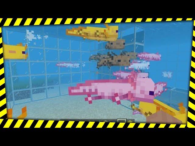 Minecraft - Axolotl vs Drowned Battle Royale