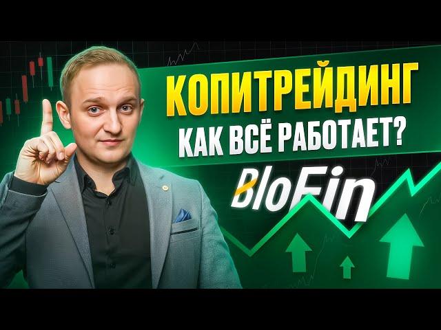 Копитрейдинг на бирже BloFin. Как всё работает? | Крипта, инвестиции