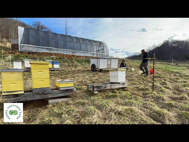 The Simplest Definition of Permaculture
