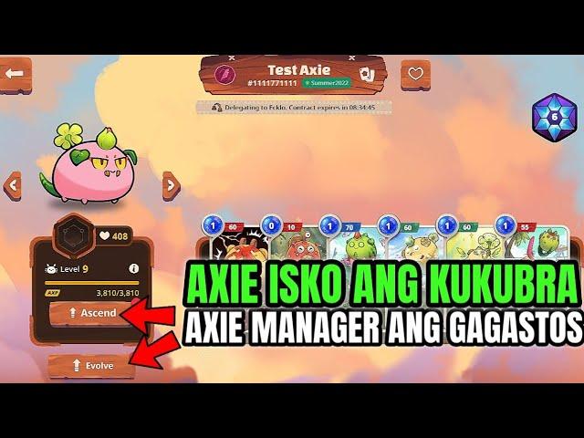 Axie Scholar 100% ng Earnings AXP Naman Kay Manager | Axie Origins Update