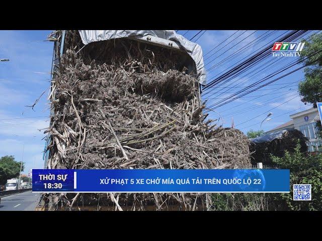 Xử phạt 5 xe chở mía quá tải trên Quốc lộ 22 | TayNinhTV