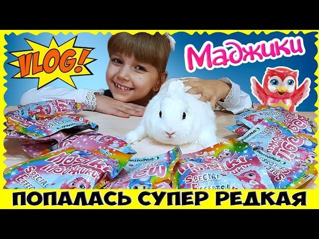 VLOG: Гуляю с Бусинкой // Маджики СОВУШКИ! Попалась СУПЕР РЕДКАЯ совушка!