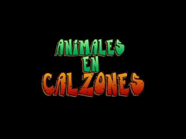 Animales en Calzones - Intro (Español Latino)