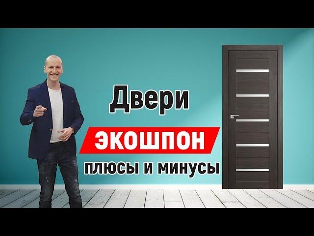 Вся правда о дверях Экошпон