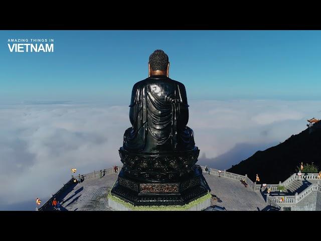 The statue of Amitabha Buddha, the highest bronze statue in Vietnam