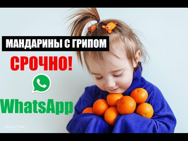 МАНДАРИНЫ УБИВАЮТ ДЕТЕЙ ? WhatsApp сообщения