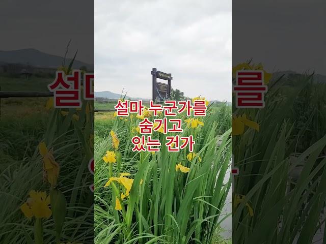 아내가 몰래 돈을 보내는 사람, 충격입니다
