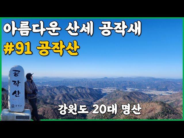 강원도 20대 명산 공작산 등산코스 | 계엄령 스트레스 자연에서 치유 | 산세가 아름다운 공작새 | 겨울산행지 추천