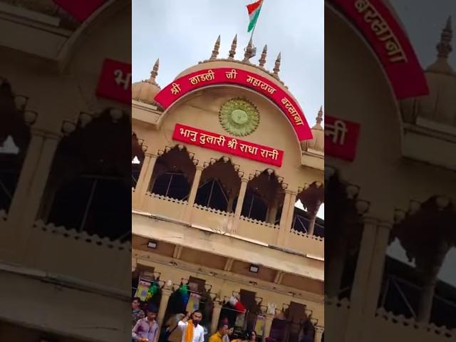 SRI RADHA RANI JI DARSHAN BARSANA #trending #bhakti #darshan #radha #shyam #video #sorts 