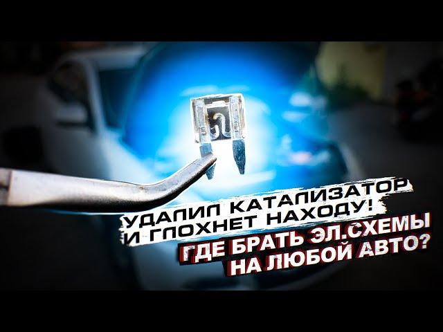 Удалил Катализатор и глохнет находу! Где брать эл.схемы на любой авто ?