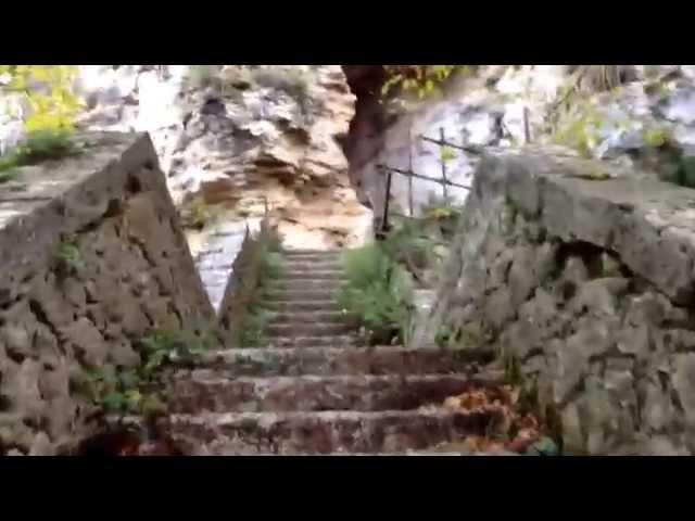 Stairway in the forest