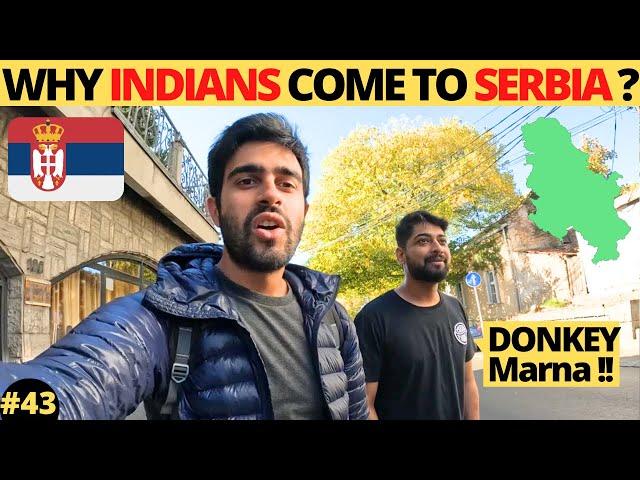 First Day in Belgrade I Why Indians come to Serbia ? 