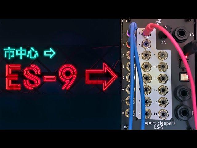 Expert Sleepers ES-9 (Eurorack modular audio interface)