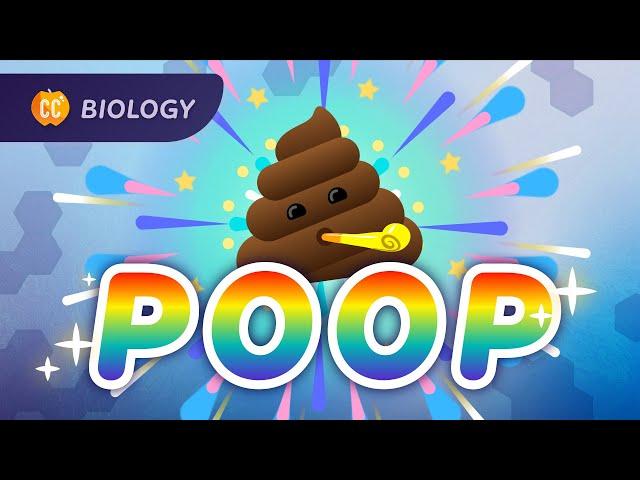 The Poop Episode: How Animals Turn Resources Into Waste: Crash Course Biology #43