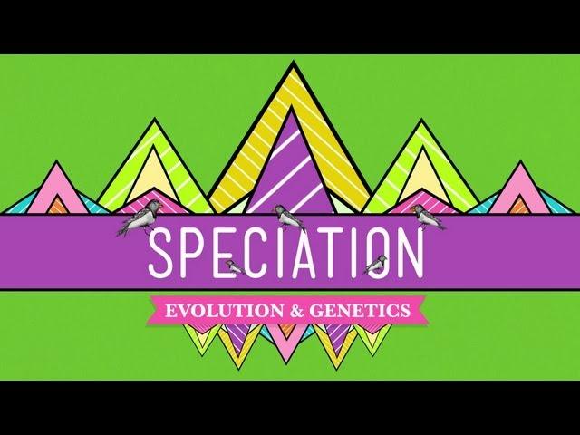 Speciation: Of Ligers & Men - Crash Course Biology #15