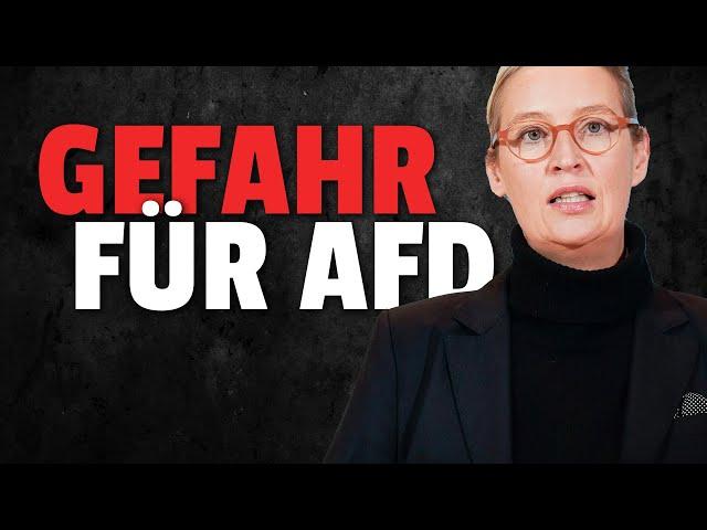 DIESE Partei ist eine GEFAHR für die AfD