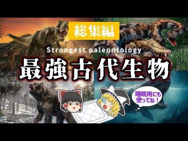 【睡眠用・ゆっくり解説】！危険！最強！古代生物特集！　ティタノボア/ティラノサウルス/メガロドンなど【広告最初のみ　途中広告なし】