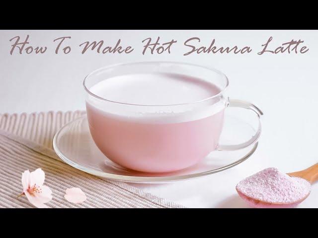 【SAKURA LATTE】How To Make Hot Japanese Sakura Latte【YAMASAN KYOTO UJI】