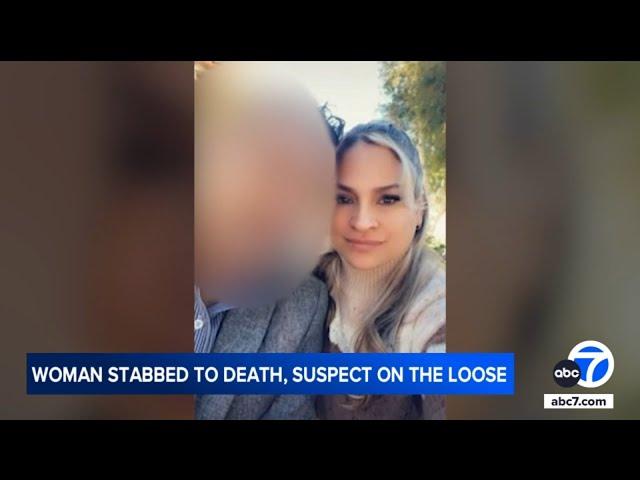 Woman stabbed to death in Chatsworth; family believes boyfriend is killer