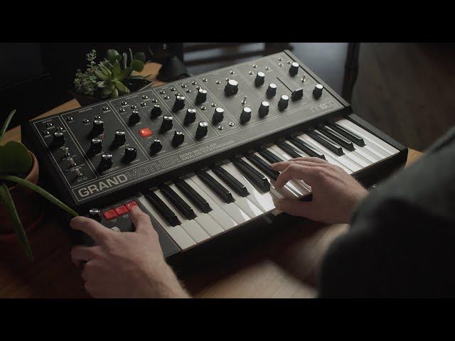 The Medium (inspired) | Moog Grandmother