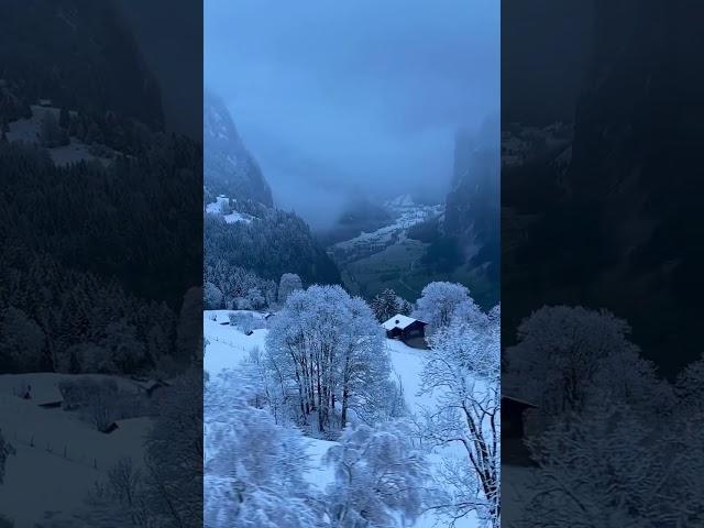 First snowfall #lauterbrunnen #youtubeshorts #switzerland #shorts #nature #travel #trainride #winter