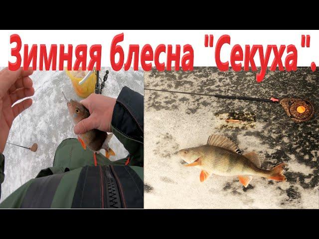 Самая уловистая зимняя блесна секуха. Ловля окуня зимой.