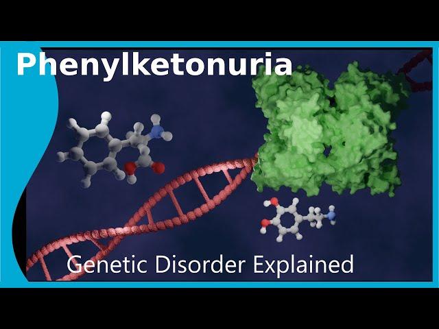 What is Phenylketonuria?