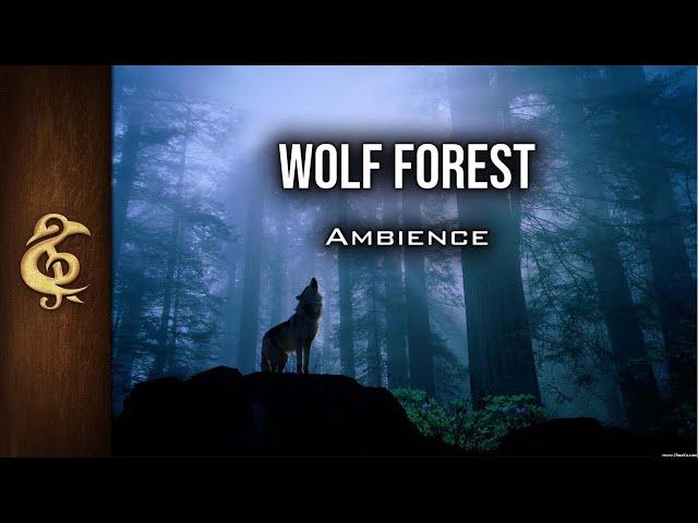 Wolf Forest | ASMR Ambience | 1 Hour #DnD #RPG