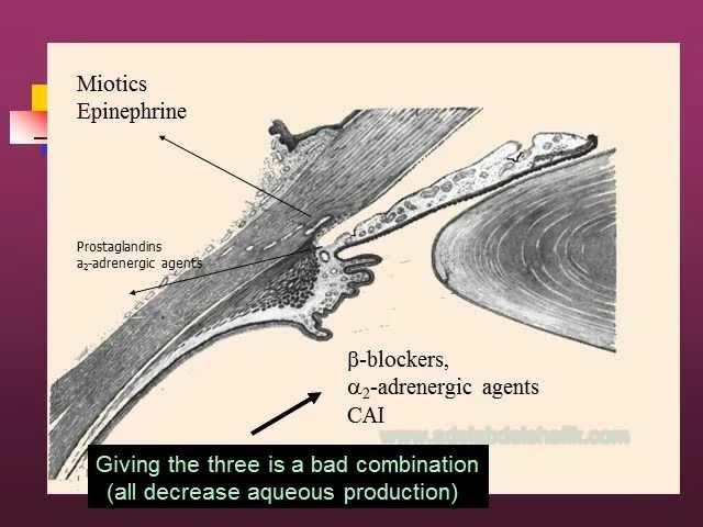 Glaucoma Drug Therapy