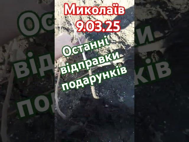 Саджанці переможцю.