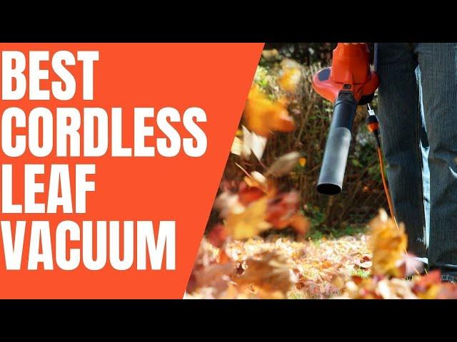 Best Cordless Leaf Vacuum Review 2022