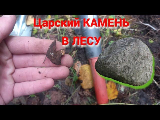 Коп Монет Около ЦАРСКОГО КАМНЯ Поиск с металлоискателем Garrett ace 250