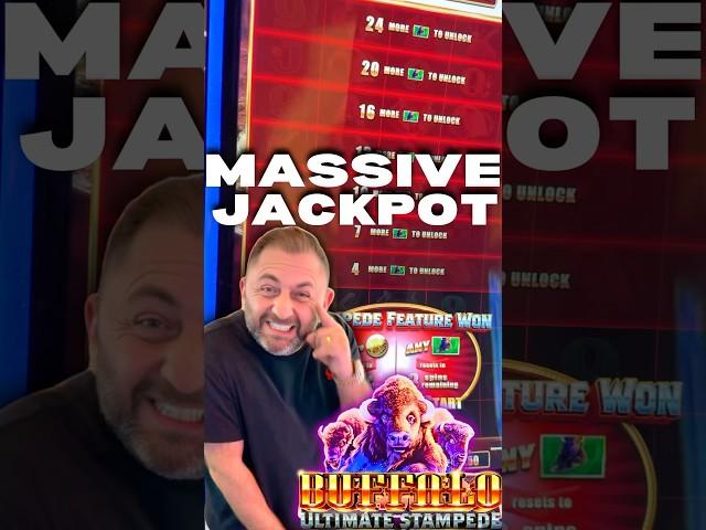STAMPEDE BONUS FOR A MASSIVE JACKPOT  ON BUFFALO ULTIMATE STAMPEDE #shorts #fyp #casino