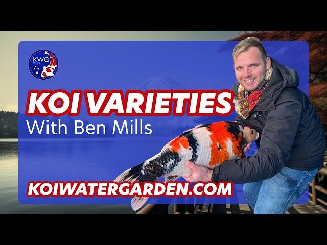 Discover the 7 Most Stunning Japanese Koi Varieties of 2024