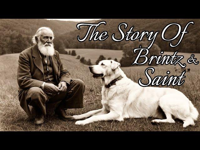 The Story Of Brintz And Saint #appalachian #story #documentary #stories #storyteller