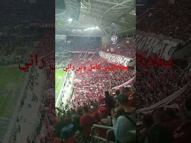 بلوزداد #fanatic  #crb  #crbelouizdad  #football  #blvzd