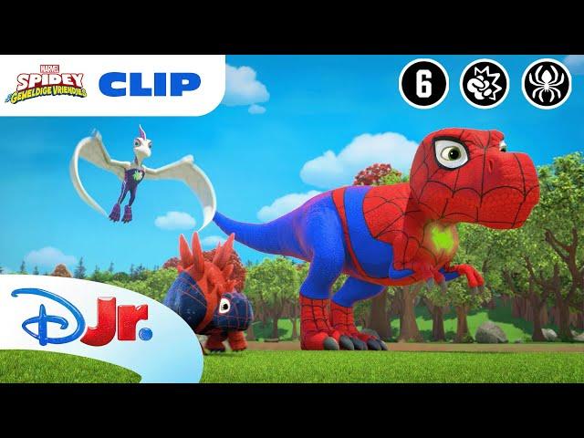  Sterke Dinokrachten | Spidey en zijn Geweldige Vriendjes | Disney Junior BE