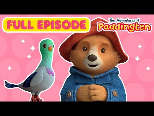 Paddington Finds a Pigeon  FULL EPISODE | Nick Jr.