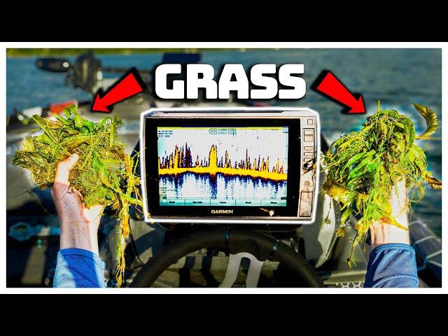 90% Of Anglers Miss THIS!! (Offshore Grass Fishing For Bass)