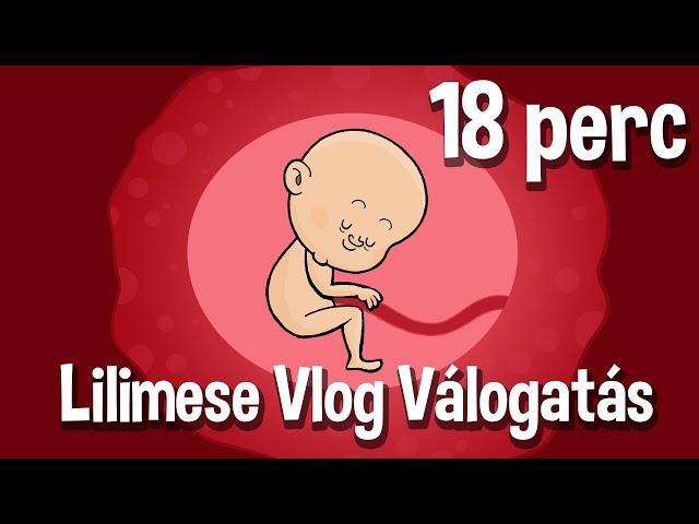 Lilimese Vlog Válogatás | 1-5. Rész |  18 perc | KerekMese 2021