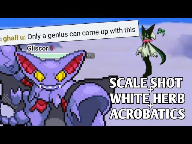 SCALE SHOT + WHITE HERB + ACROBATICS GLISCOR IS MANKIND'S GREATEST INVENTION