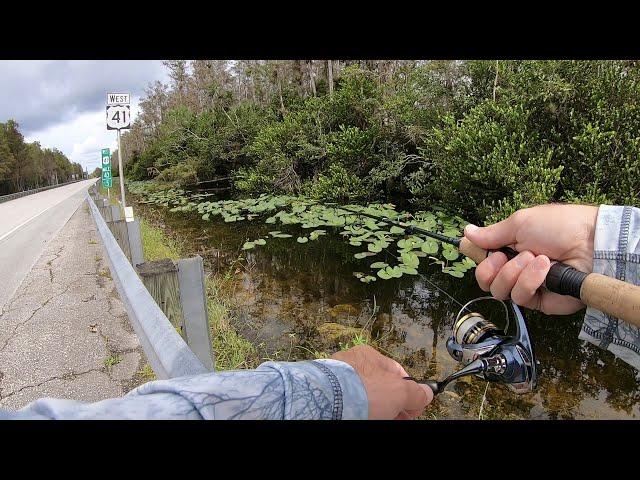 Canal Fishing in The Everglades for Peacock Bass