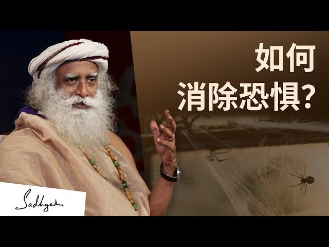 如何消除恐惧？ | Sadhguru 萨古鲁