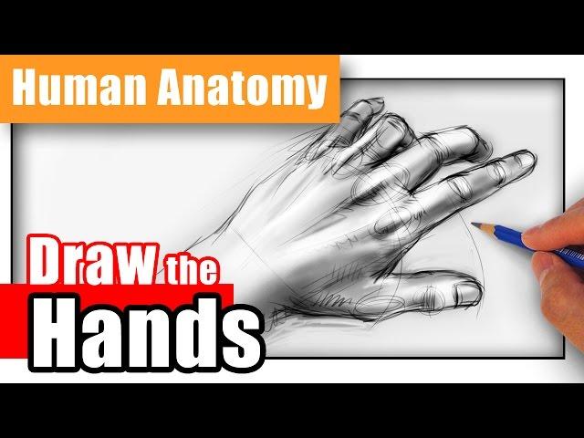 How to Draw Hands from Any Angle