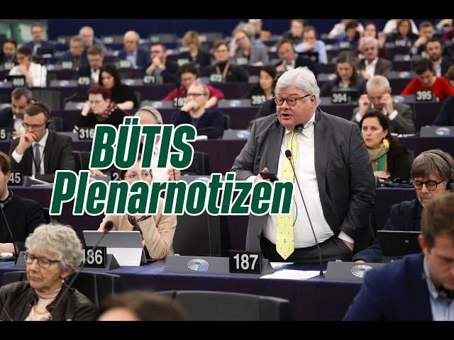 Europaparlament vs. Kommission | Plenarnotizen März 2024