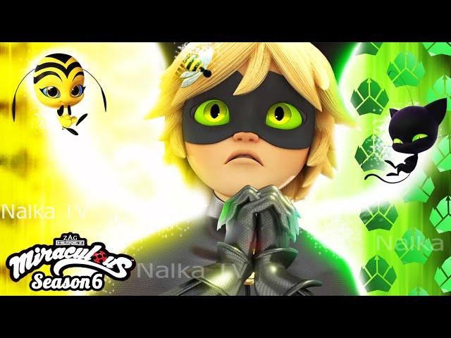 BEE NOIR - NEW TRANSFORMATIONS  LADYBUG AND CAT NOIR MIRACULOUS 6 (Fanmade)